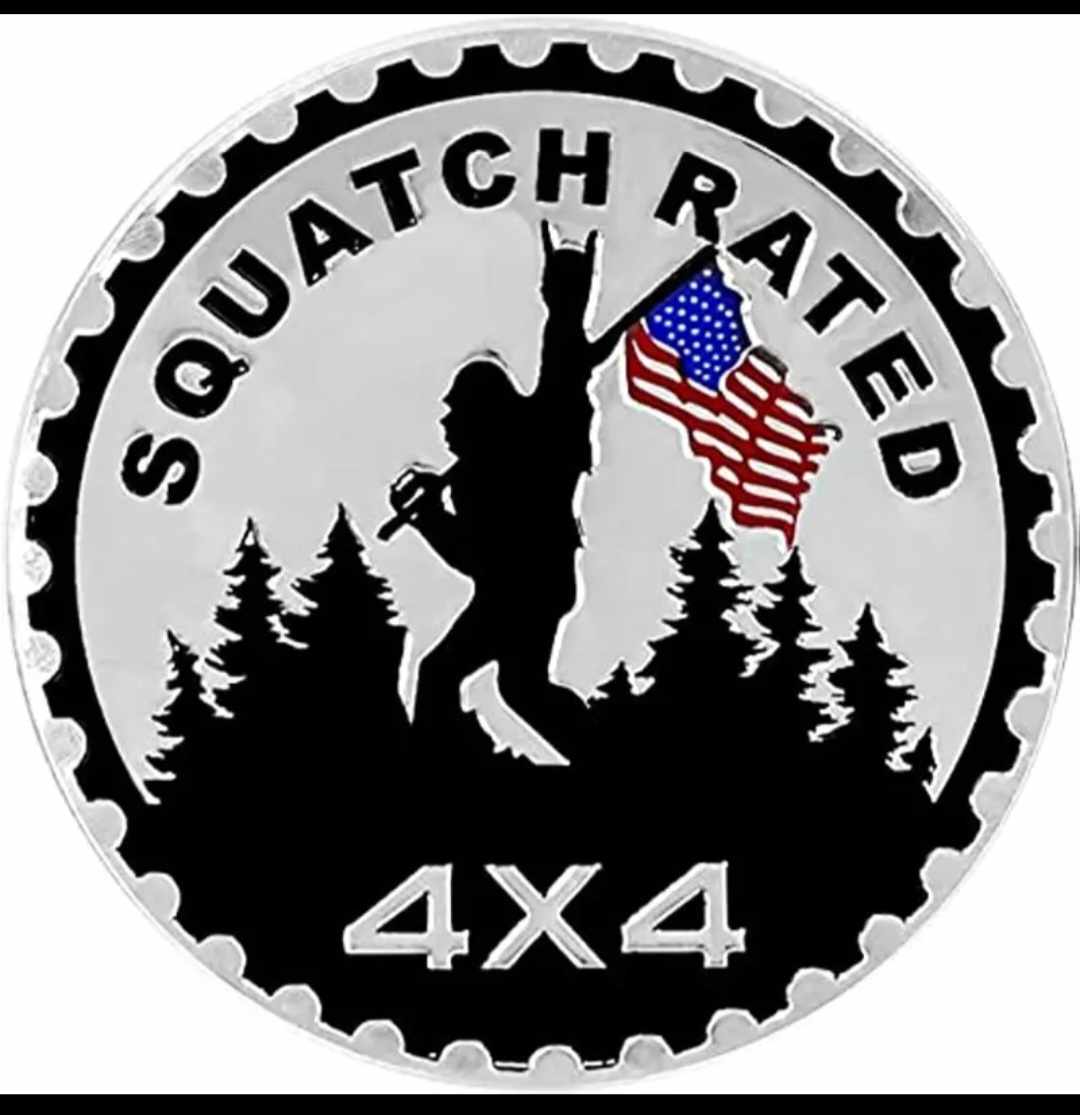 Multipurpose 3D badge