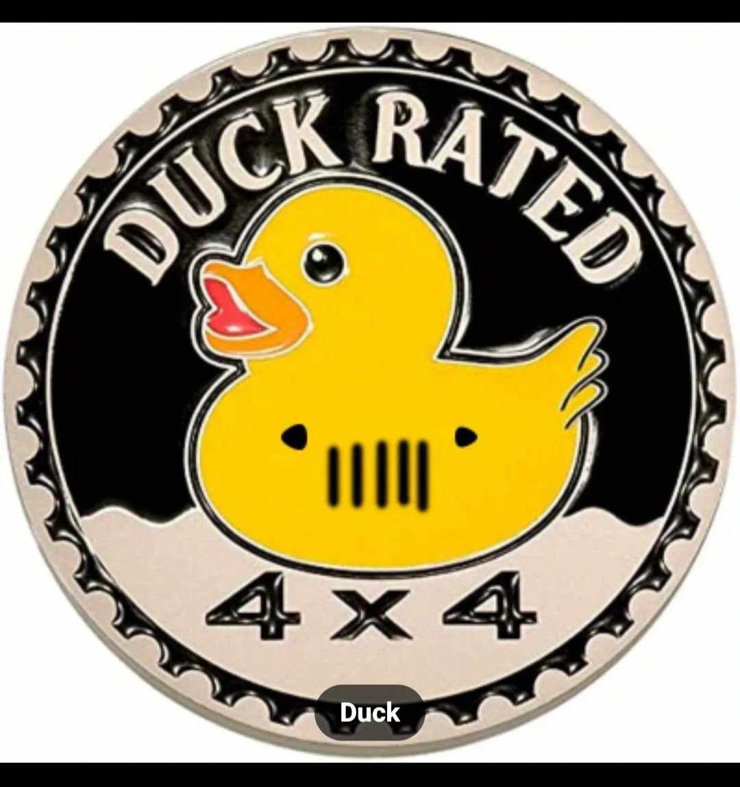 Multipurpose 3D badge