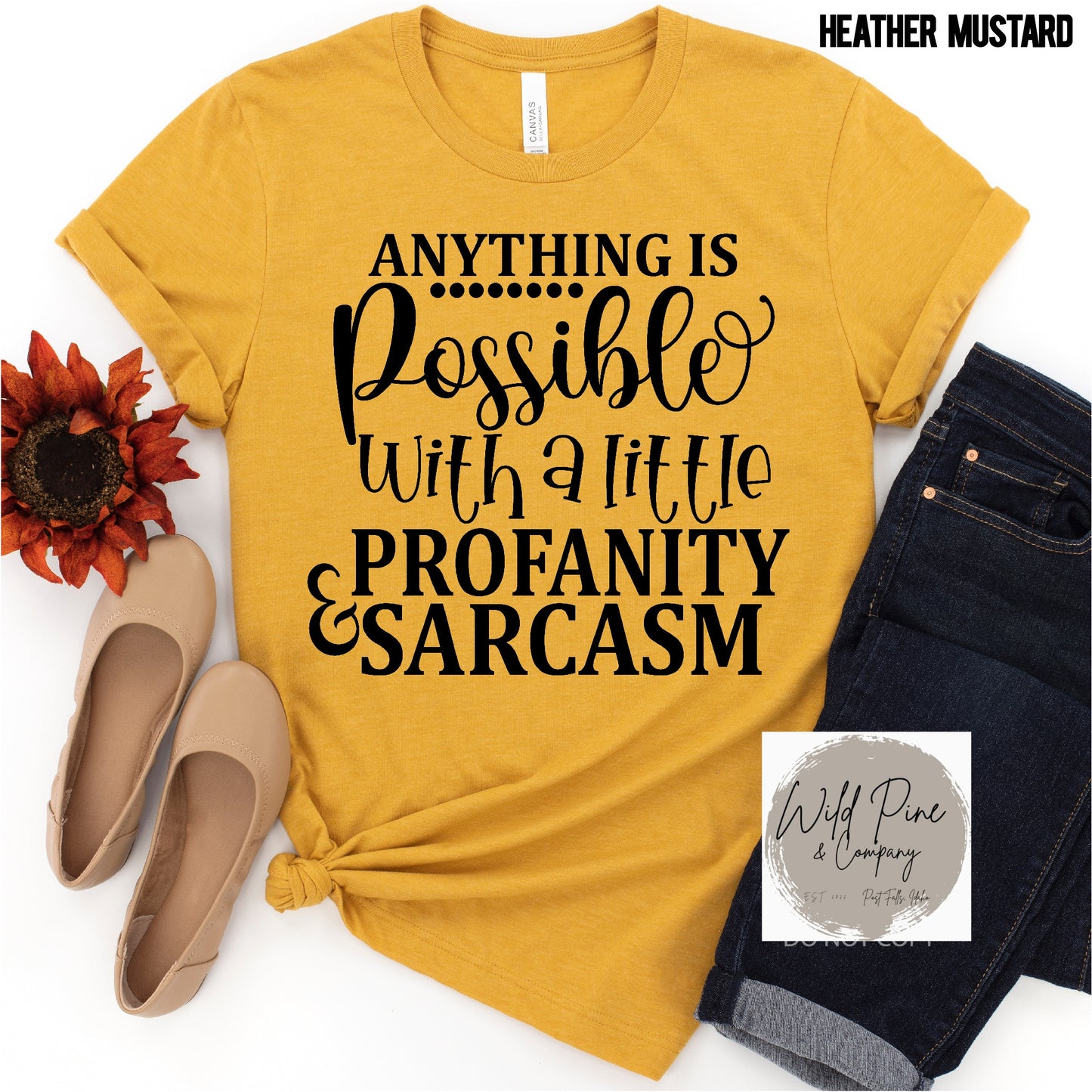 Profanity & Sarcasm