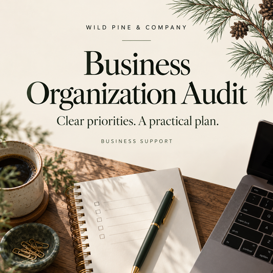 Business Organization Audit