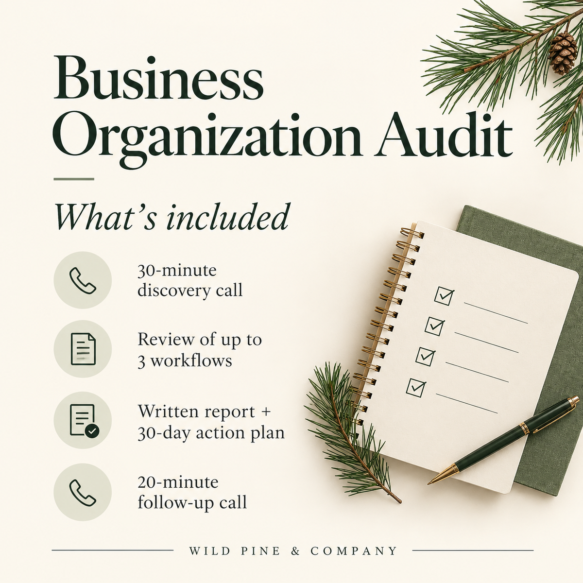 Business Organization Audit
